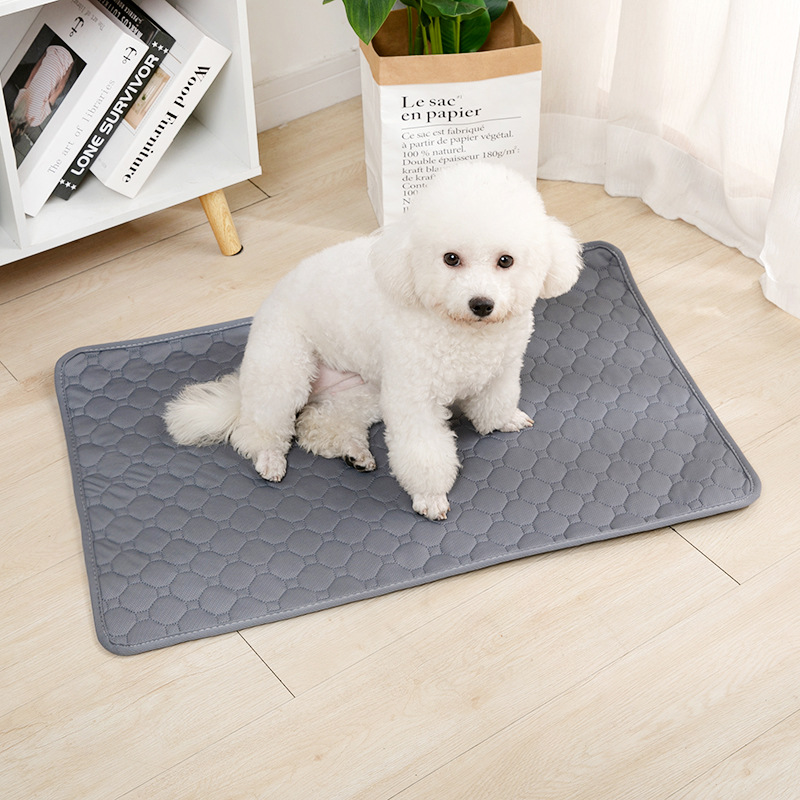 Reusable Dog Pee Pad Blanket A - Carriage Bed recension och pris